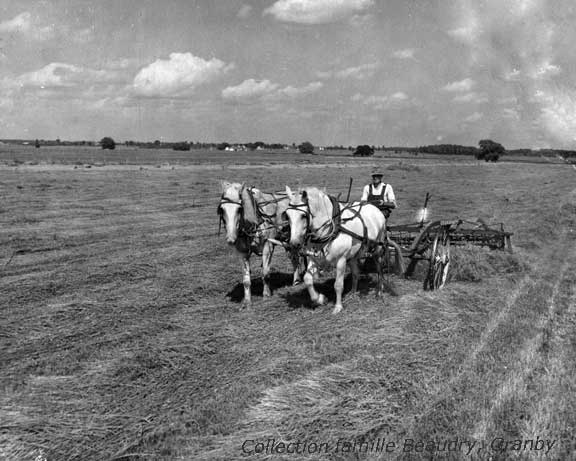Le temps des foins à la ferme de Rolland Beaudry, en 1956 (Photo Office provincial de la publicité, Collection Gérard Beaudry)